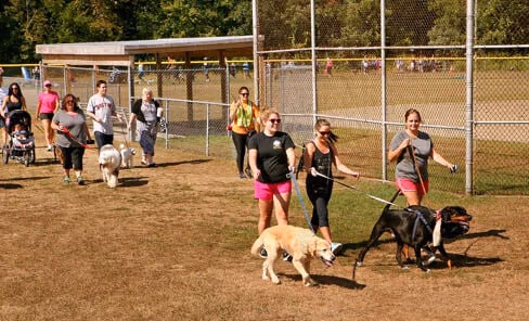 Smithfield Dog Park photo 2